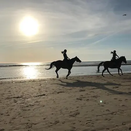 Apartamento Vlasoven Loft