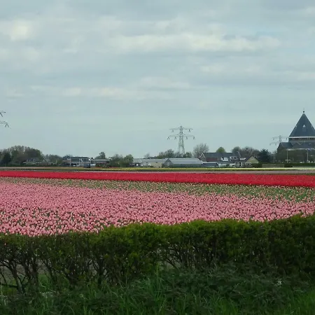 Apartament Vlasoven Loft *