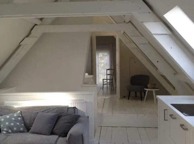 Apartamento Vlasoven Loft *