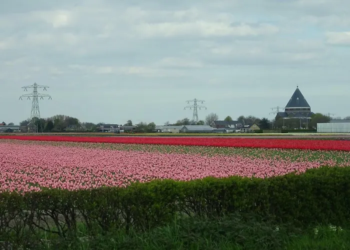 Apartamento Vlasoven Loft *